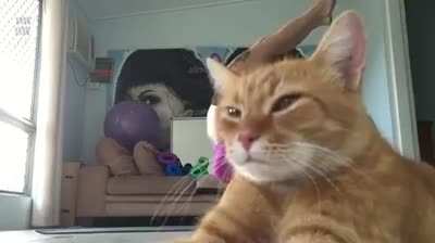 “Okay, it’s my show now”