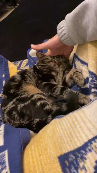 *Squish*
