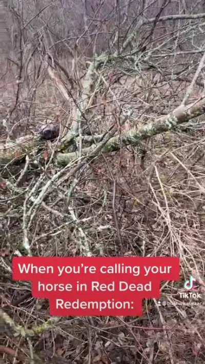Calling your horse in RDR2 be like: