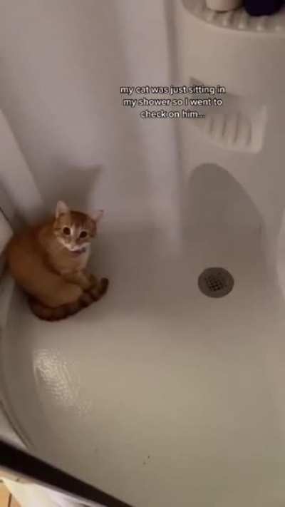 Leave me alone