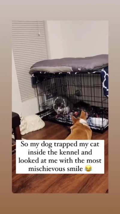He's so proud of himself! ?