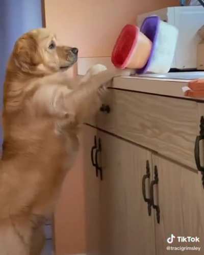 Caught in the act