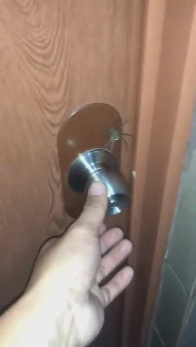 I just want to get out