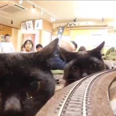 The Hills have Eyes