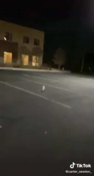 An average night