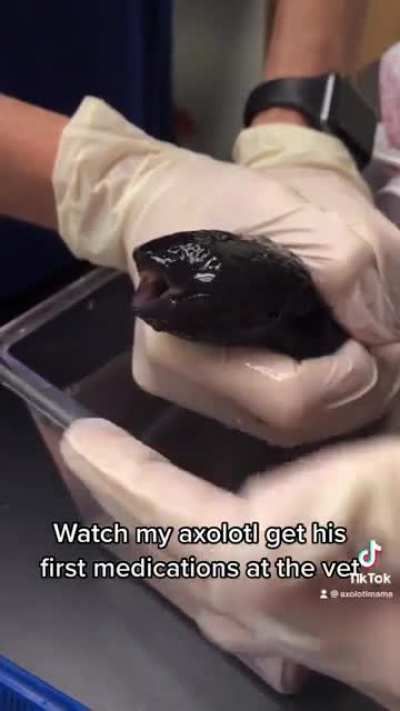 If you didn’t notice, he HATED it