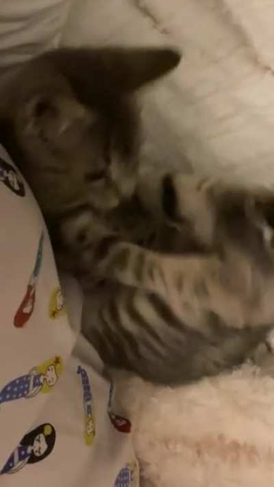 Where Did It Go?