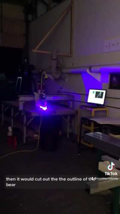 I cut out 386 bears with a laser to make this animation