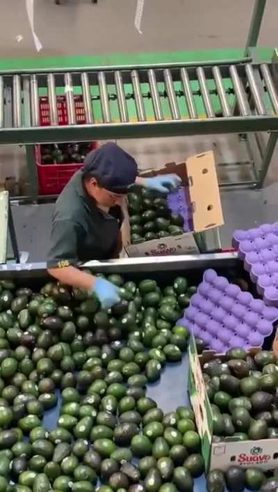 And they call them unskilled jobs.