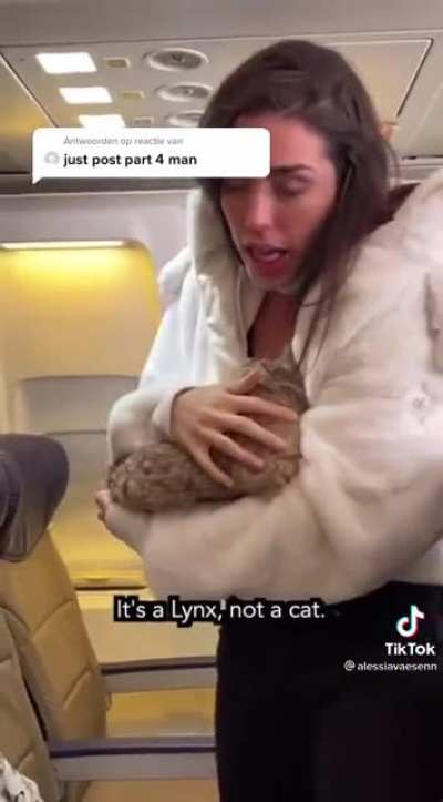 Breastfeeding a cat (part 4 of 4)