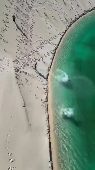 Have you ever heard of a desert with more water than sand? - Lençóis Maranhenses National Park, Brazil ??