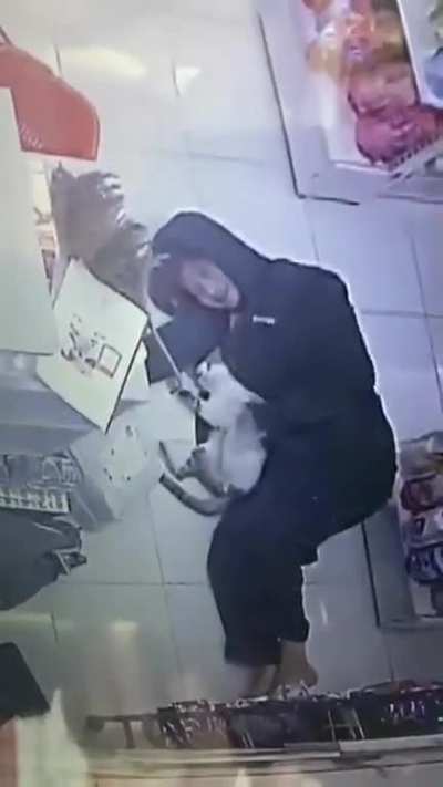 A store cat who doubles as an emotional support animal helps a retail worker get through the day