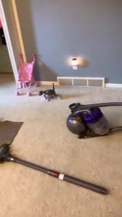 Smol Hit & Run.