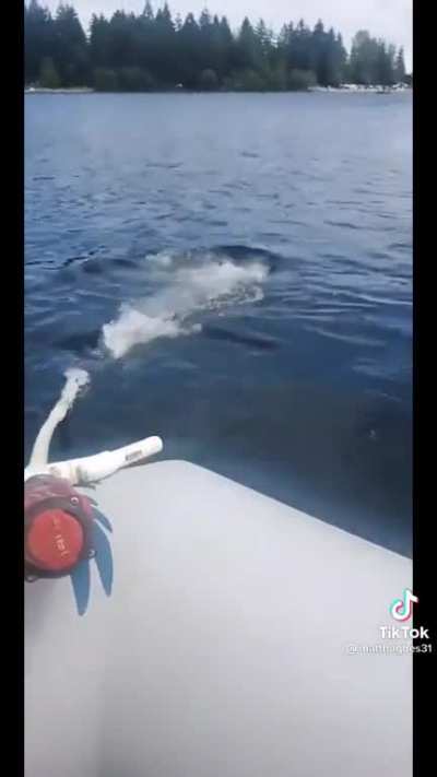 Just a dudes speedboat ?