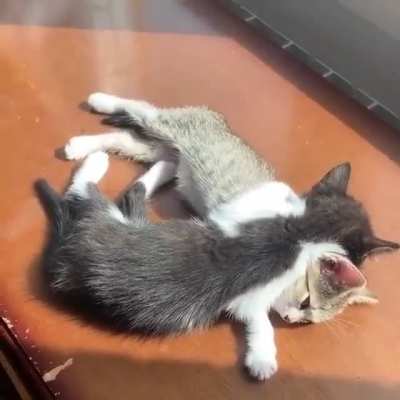 So sleepyyy ?