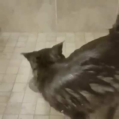 How