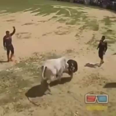 If you mess with the bull, get the horns.