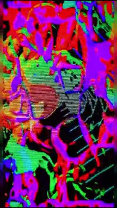 who even puts art on TikTok smh