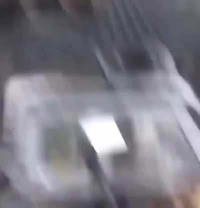 WCGW challenging a squirrel
