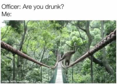 Sober? Yes?