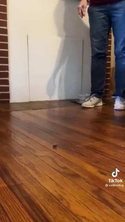 Smartest boi