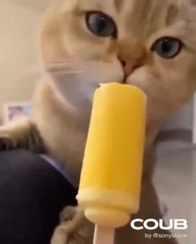Delicious