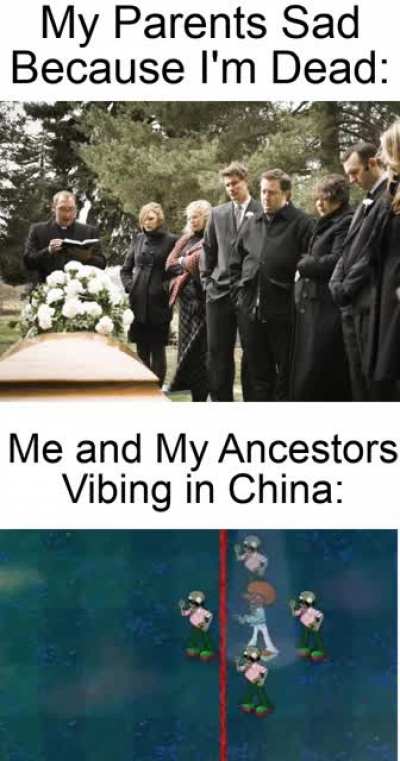 An Old Classic PvZ meme