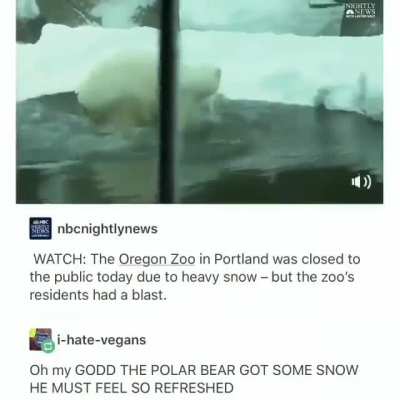 Zoo Animals - Fun in the Snow