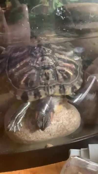 Maybe Maybe Maybe