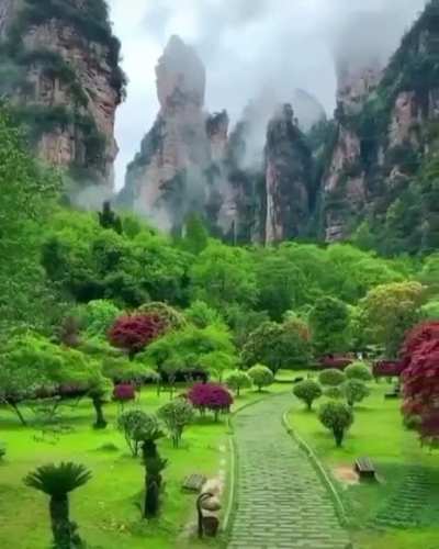 ? Zhangjiajie National Park, China. ?