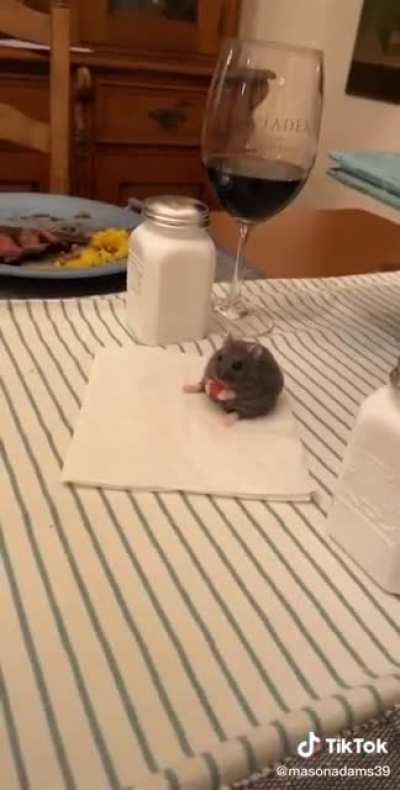Dinner guest