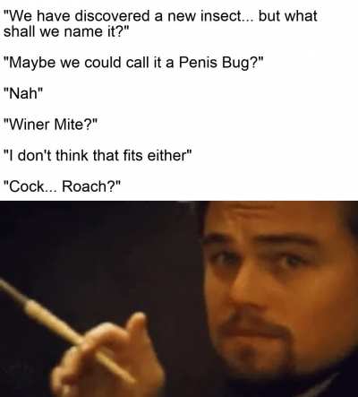 Pee-Pee Beatle