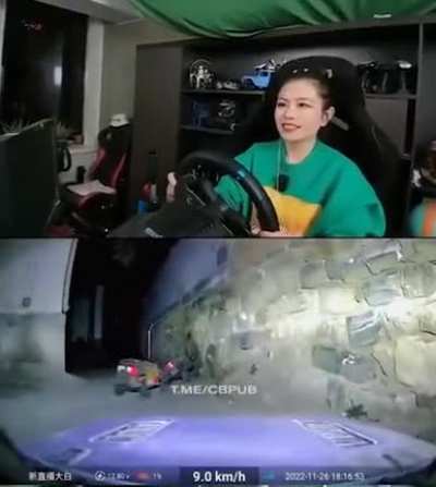 There used to be an old pc game called "RC Cars"