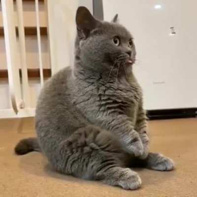 Superderp