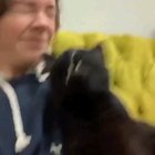 allergy attack