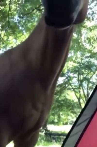 Somebody’s Watching Me