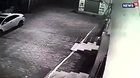 Dog saves newborn baby girl after woman throws her in drain