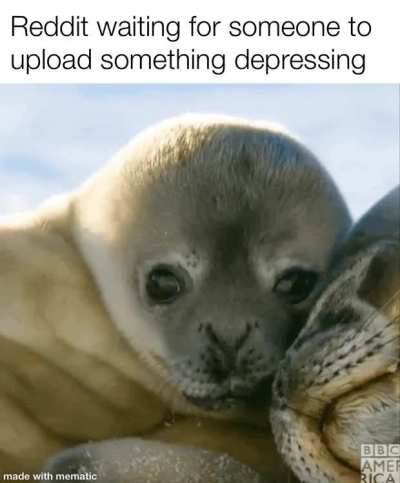 Wholesome infinity