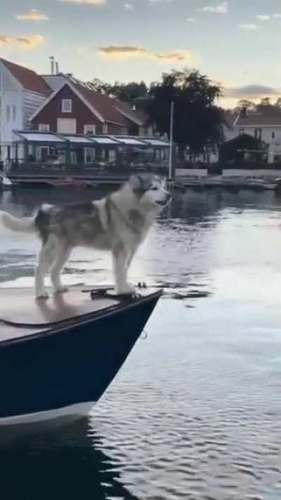 The new boat horn sounds great…????