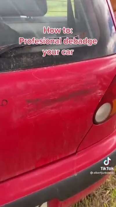 Professionally debage a car.