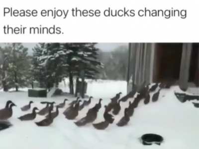"Nah mate this cold cold"