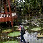 That's not how this works