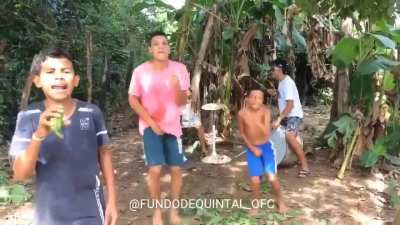 Jungle Fun.