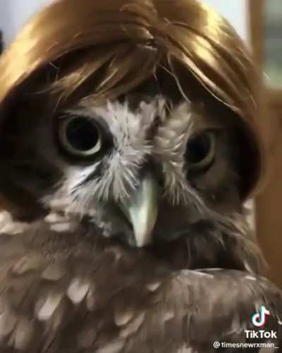 ?