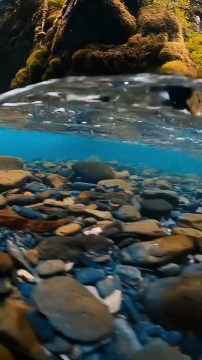 ? Perfect view of glacial waters in Norway