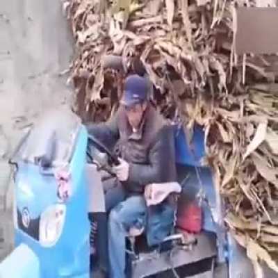 Busy busy