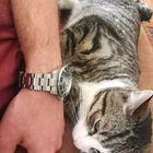 "He doesn't like to cuddle", the shelter said.