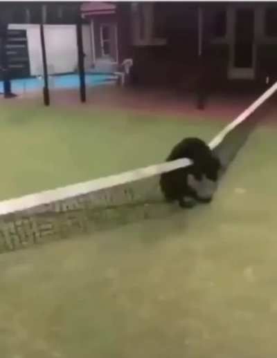 Stuck the landing