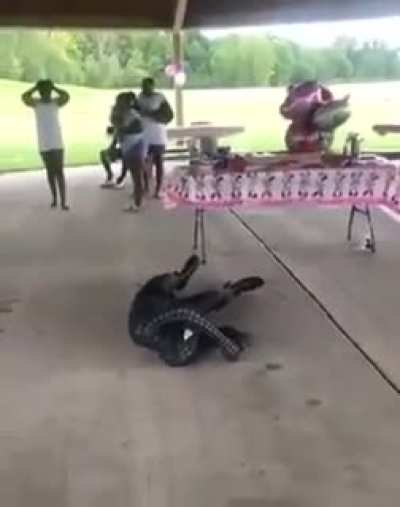WCGW Trying to be Spider-Man at a party