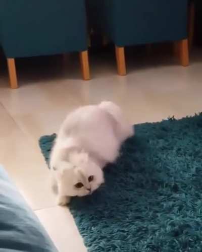 "Kill? Kill. No, run! Maybe kill? RUN!"